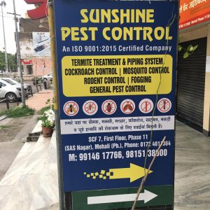 best pest services in mohali
