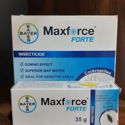 MAXFORCE FORTE