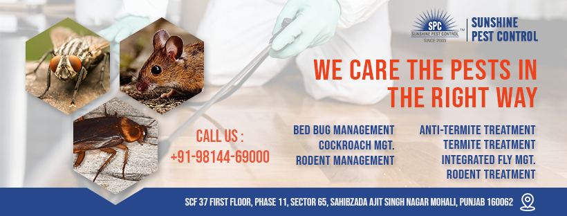 Pest Control Services