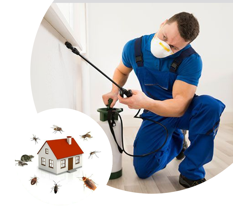 Professional Pest Control Services in Sunshine | Safe & Effective