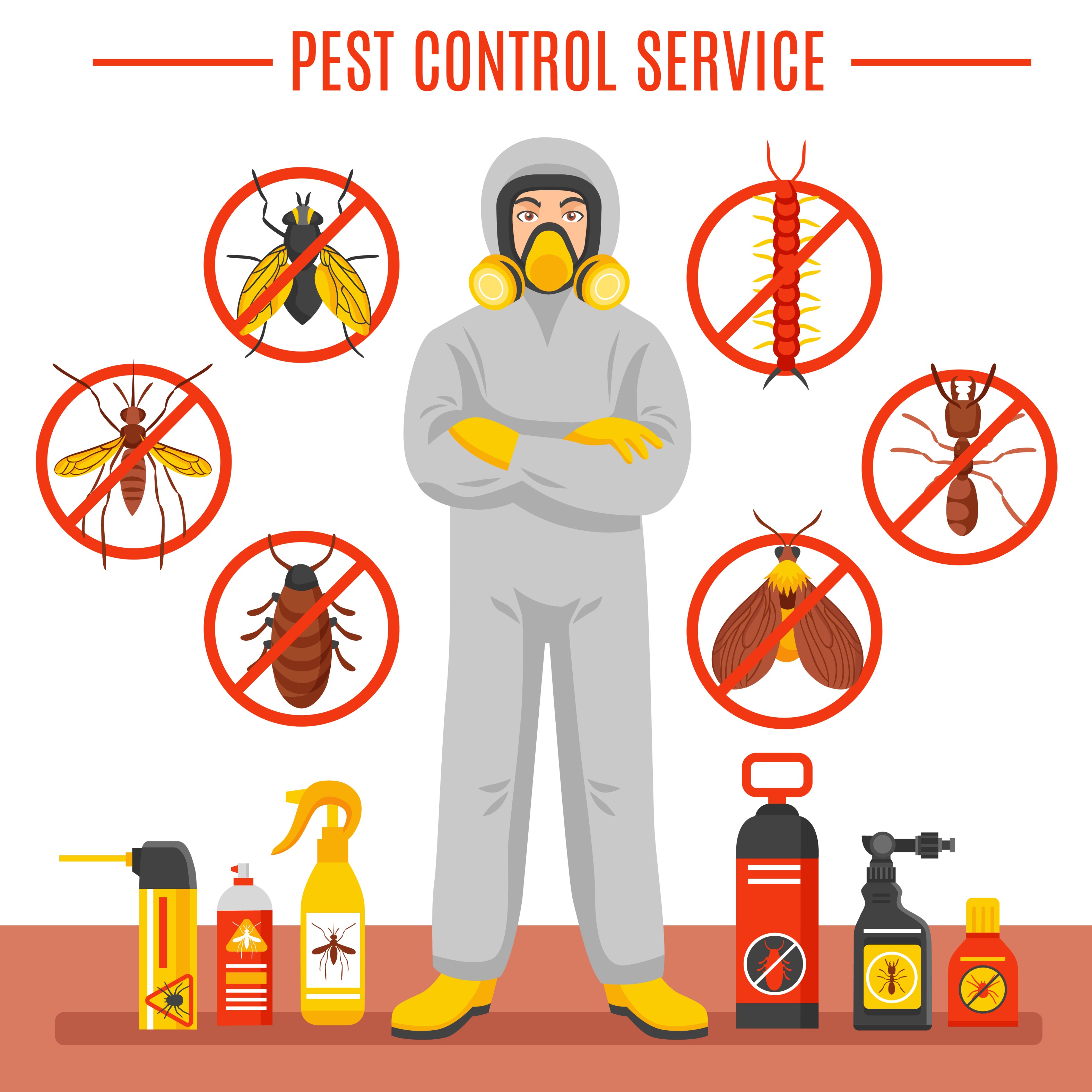 Why Pest Control Services Matter​