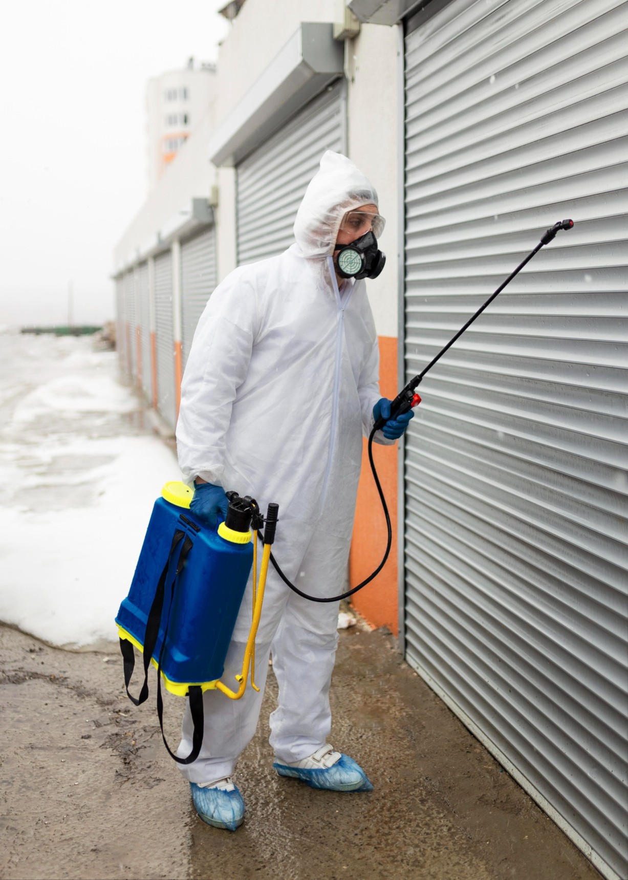 Importance of Professional Pest Control​