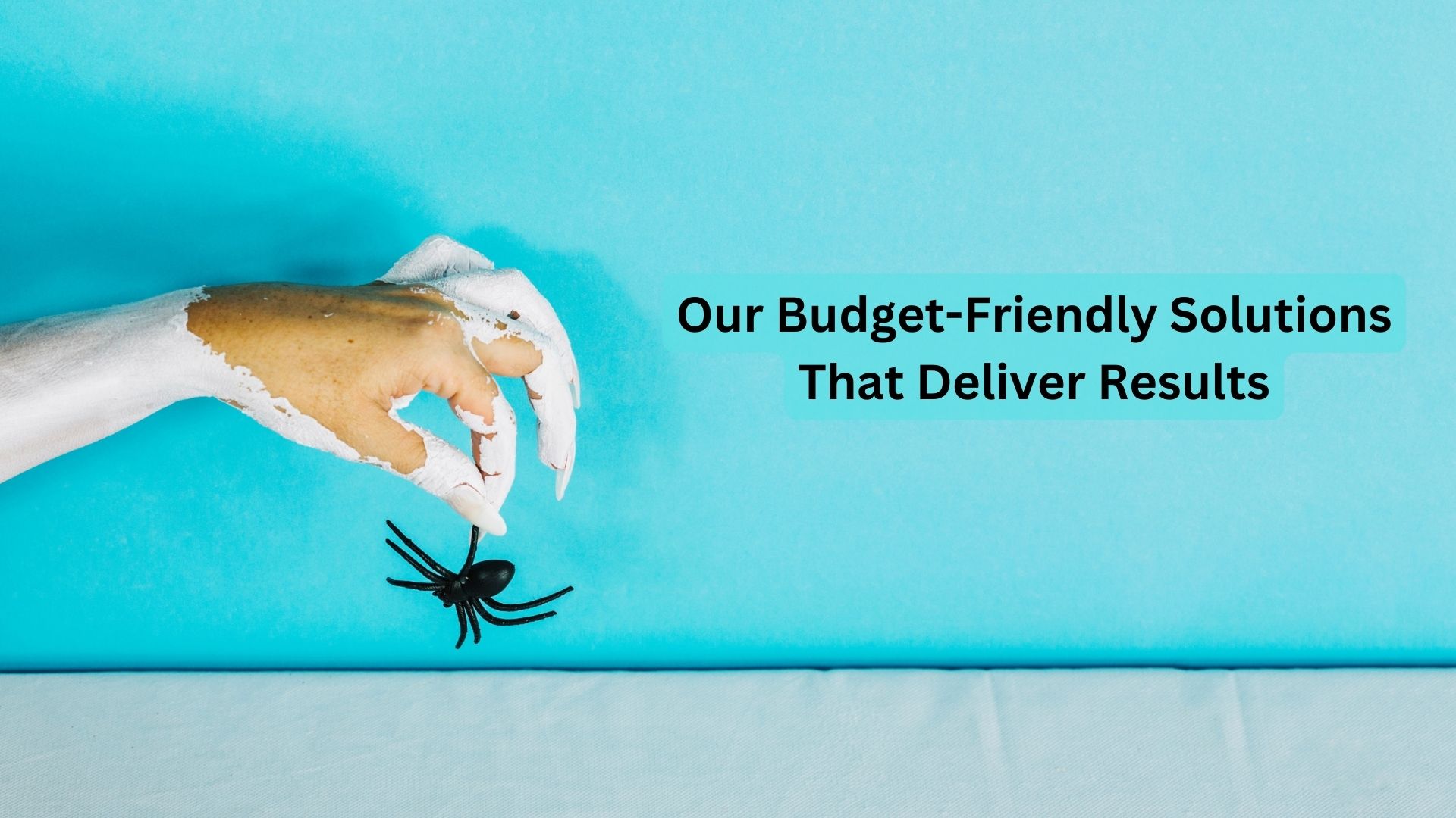 Say-Goodbye-to-Pests-Our-Budget-Friendly-Solutions-That-Deliver-Results