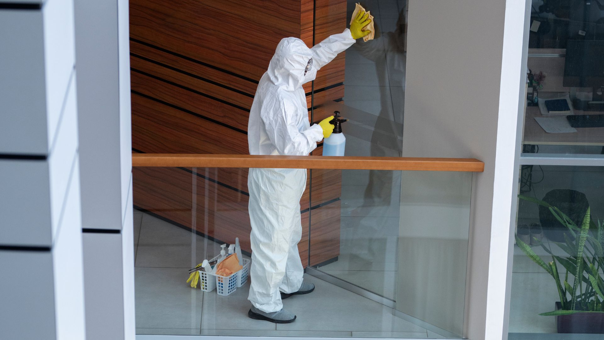 5 Easy Steps to Pest Proof Your Workplace