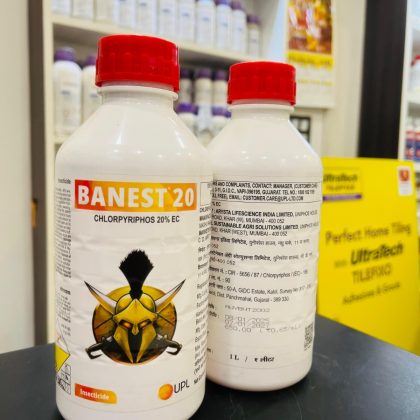 BANEST 20