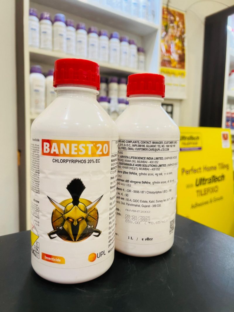 BANEST 20
