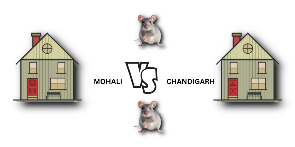 Comparison-of-pest-control-services-in-Mohali-and-Chandigarh-highlighting-differences-and-effectiveness-in-each-area