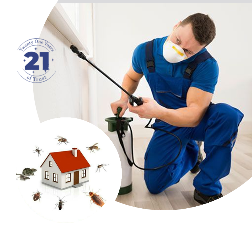 A-professional-pest-control-technician-inspecting-a-property-in-Kent-for-effective-pest-management-solutions.