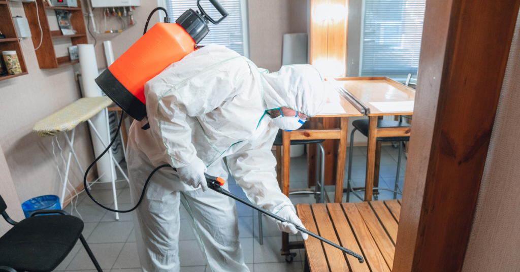 A-professional-in-a-white-suit-applying-pest-control-treatment-in-a-room-to-ensure-a-pest-free-environment.