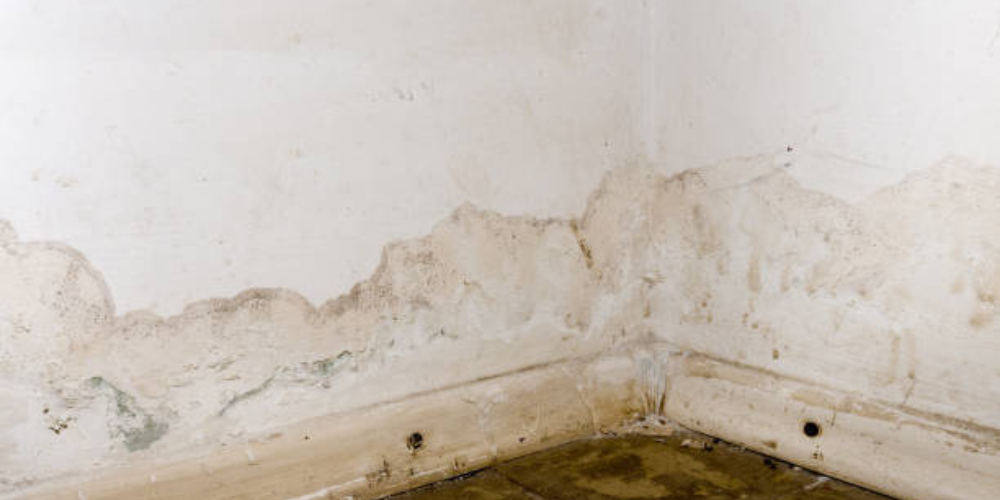 Mold-growth-on-a-wall-in-a-room-indicating-significant-water-damage-and-potential-health-hazards