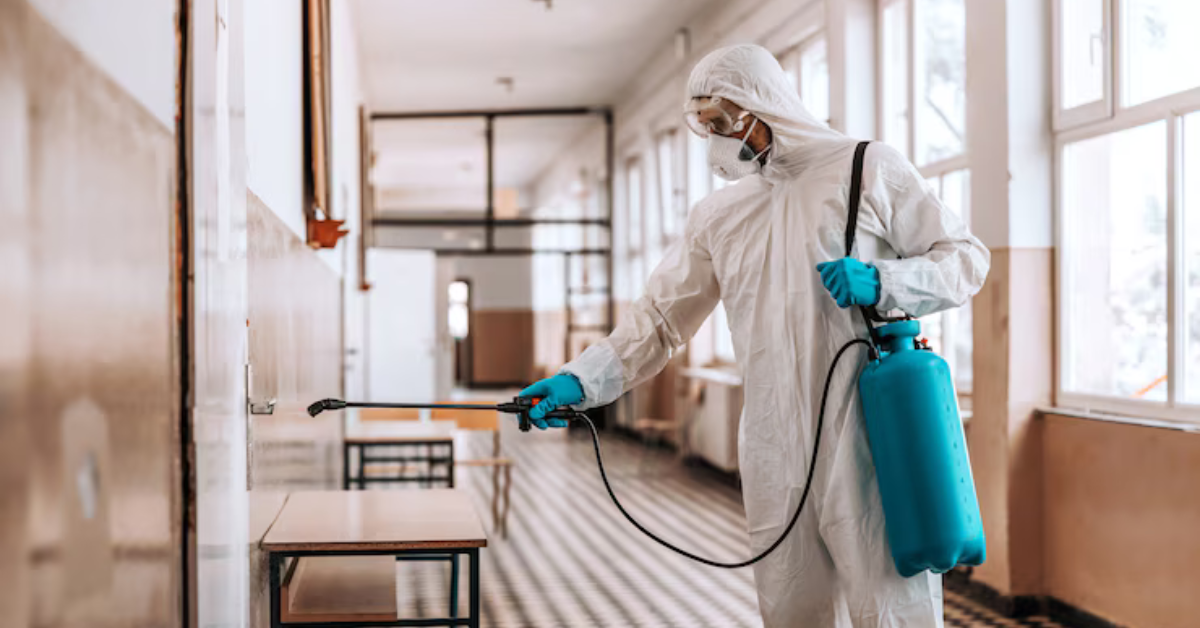 pest-control-services pest-control-services