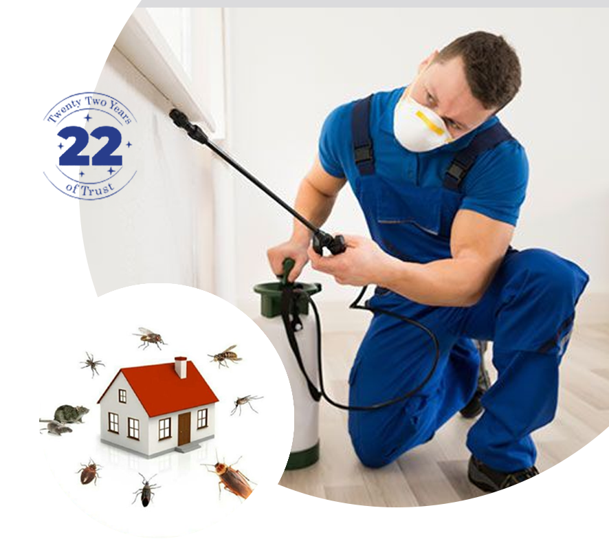 A-professional-pest-control-technician-inspecting-a-property-in-Kent-for-effective-pest-management-solutions.