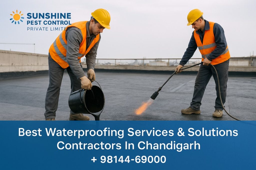 Waterproofing-Solution