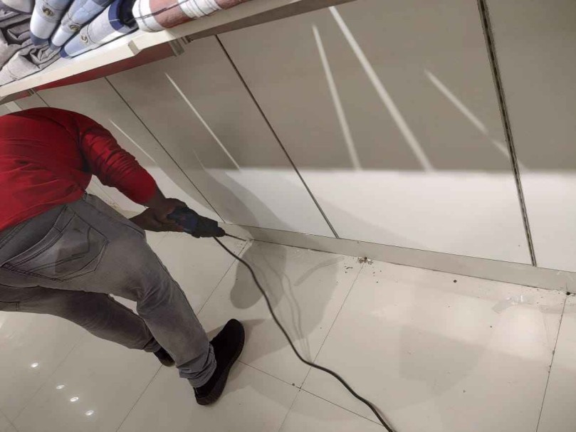 pest control services in Amritsar (2)